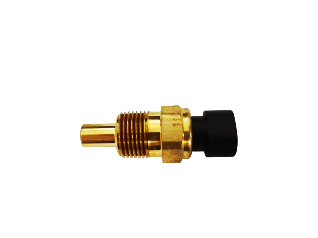 ECU Temperature Sensor - Lotus Elan M100